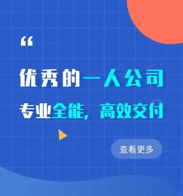 一人公司导航